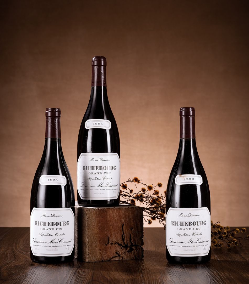 Domaine Méo-Camuzet Richebourg 1995
